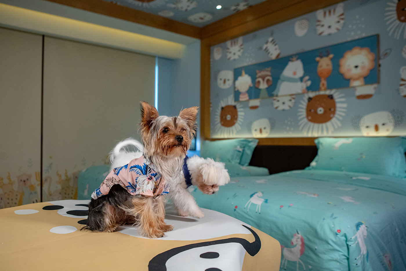 ANCNXL_pet Room Twin 2